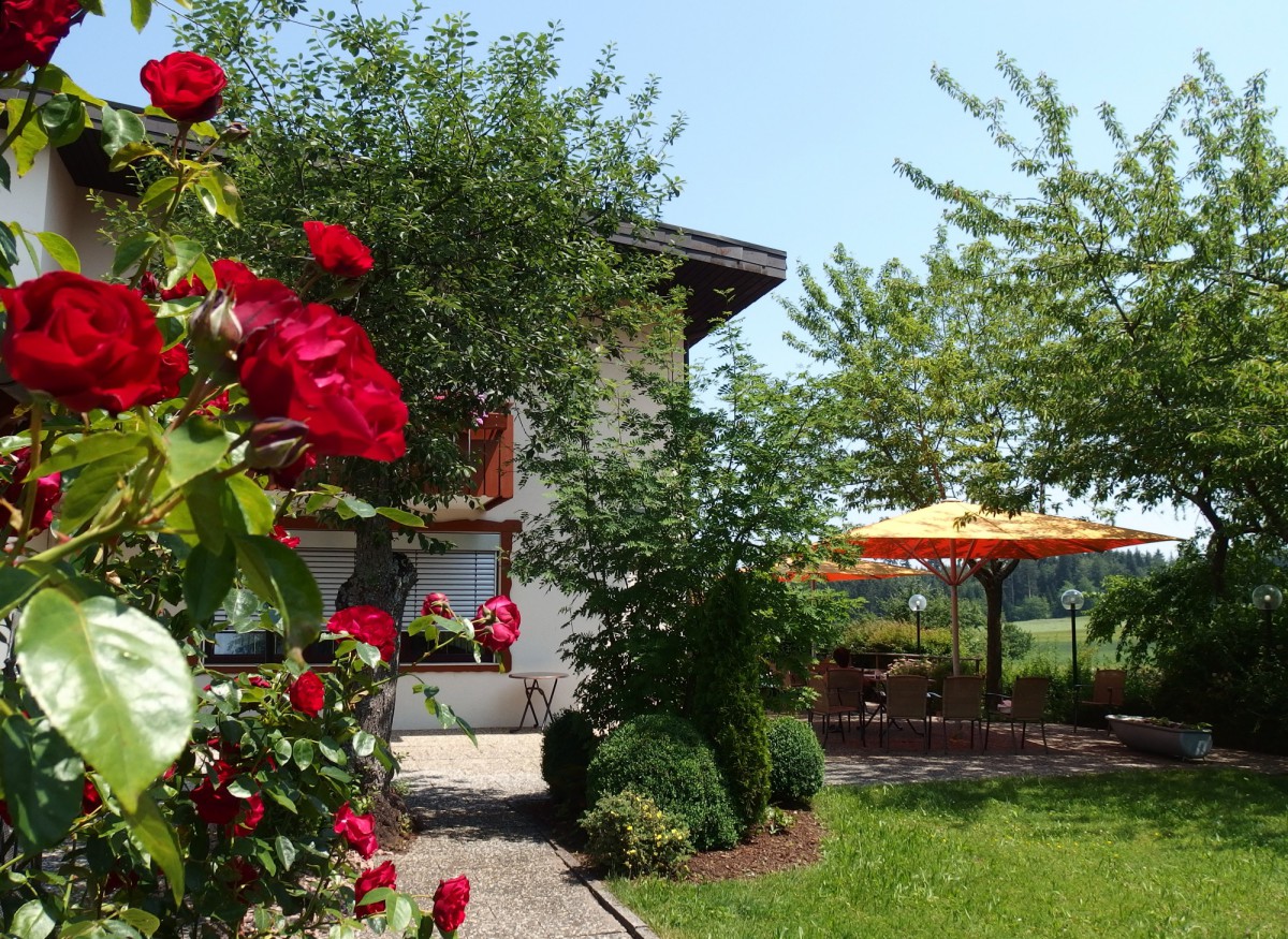 Blooming red roses frame a garden scene with a house, terrace, and orange parasol.