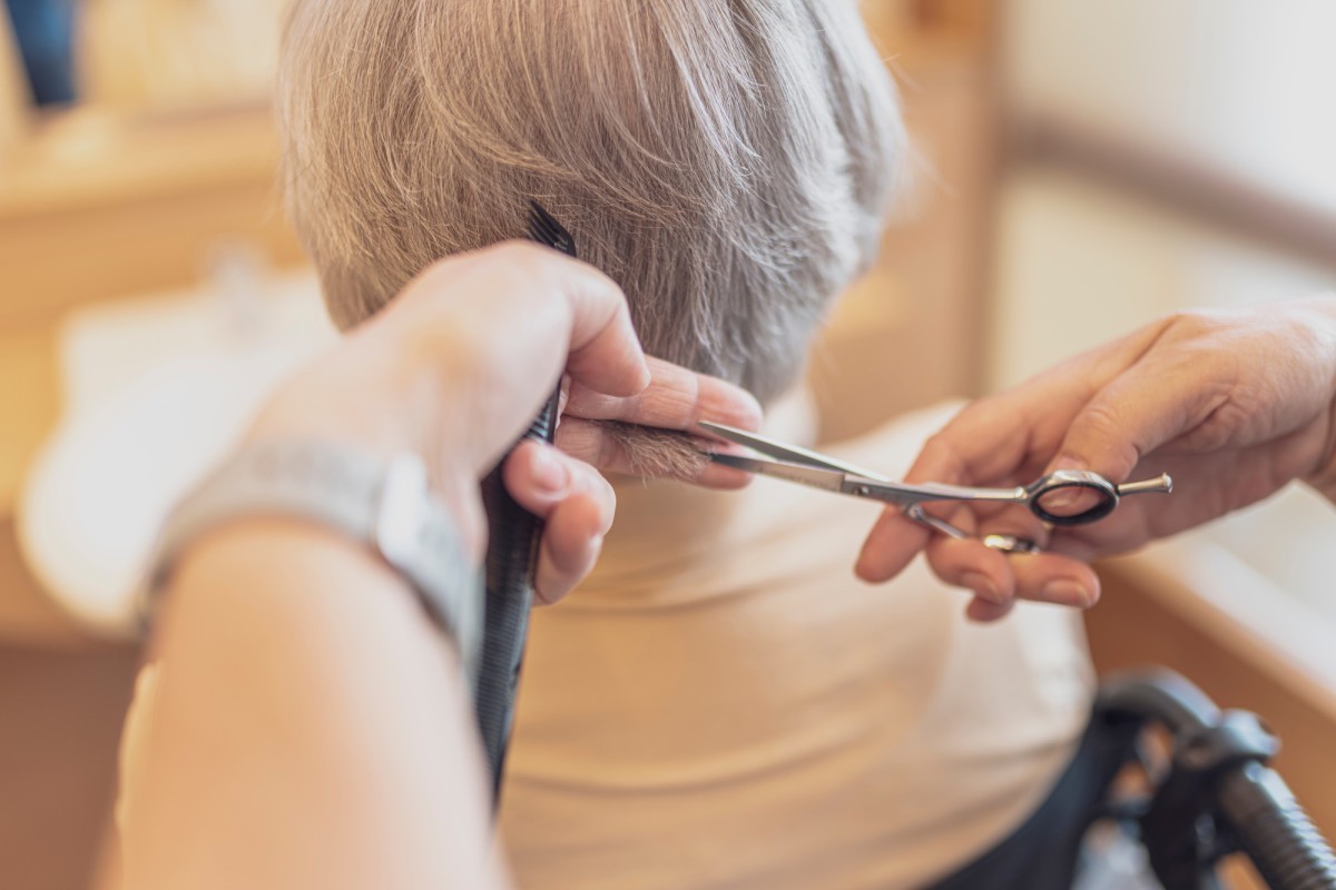Hairdresser's hands cutting gray hair with scissors